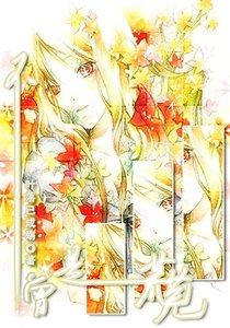 (家教同人)不曾是荒蕪