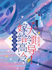 退婚家暴男,嫁給高冷大領導!/我去相親讓高冷大領導徹底失了控/想告別天未晚